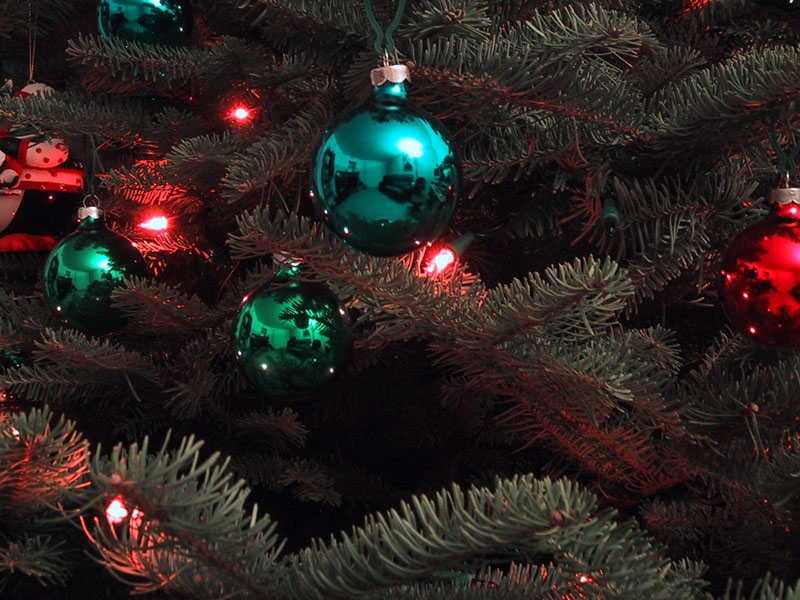 A close-up view of our Christmas tree.